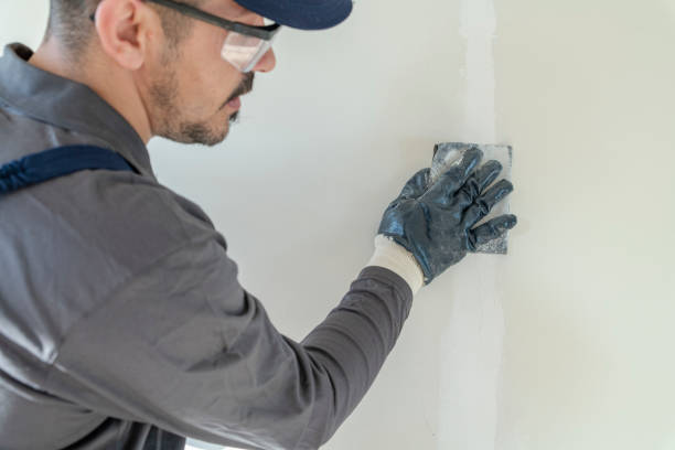 Best Water Damage & Mold Remediation  in Wheeler Af, HI