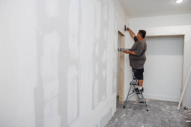 Forensic Mold Investigation in Wheeler Af, HI
