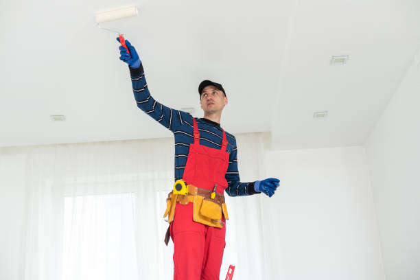 Wheeler Af, HI Mold Removal Company