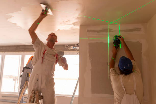 Best Real Estate Mold Inspection  in Wheeler Af, HI