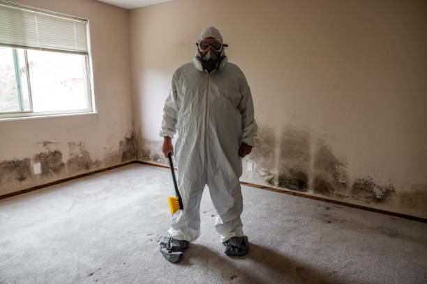 Best Mold Removal for HVAC Installations  in Wheeler Af, HI
